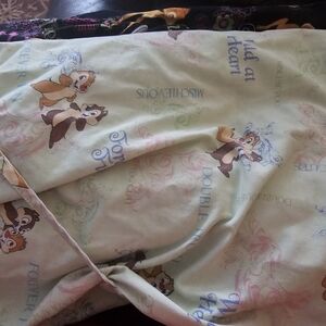 Chip 'n' Dale Light Green Scrub Top Size 2x